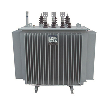 Oil immersed transformer 10kV level